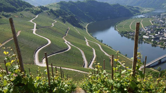 Wie Viele Steine Bei Mühle
 Weinreise durch Deutschland Die schönsten Weingebiete