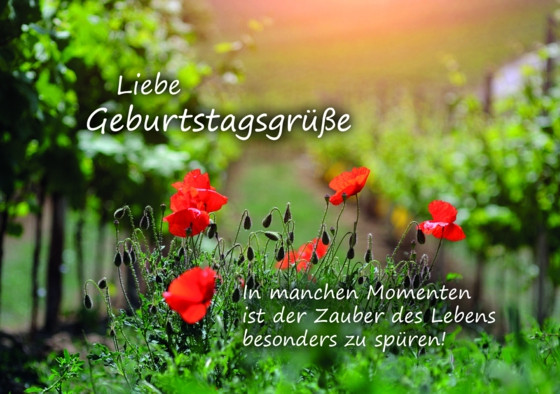 Www Geburtstagsglückwünsche
 Schöne Geburtstagsglückwünsche Texte und Sprüche