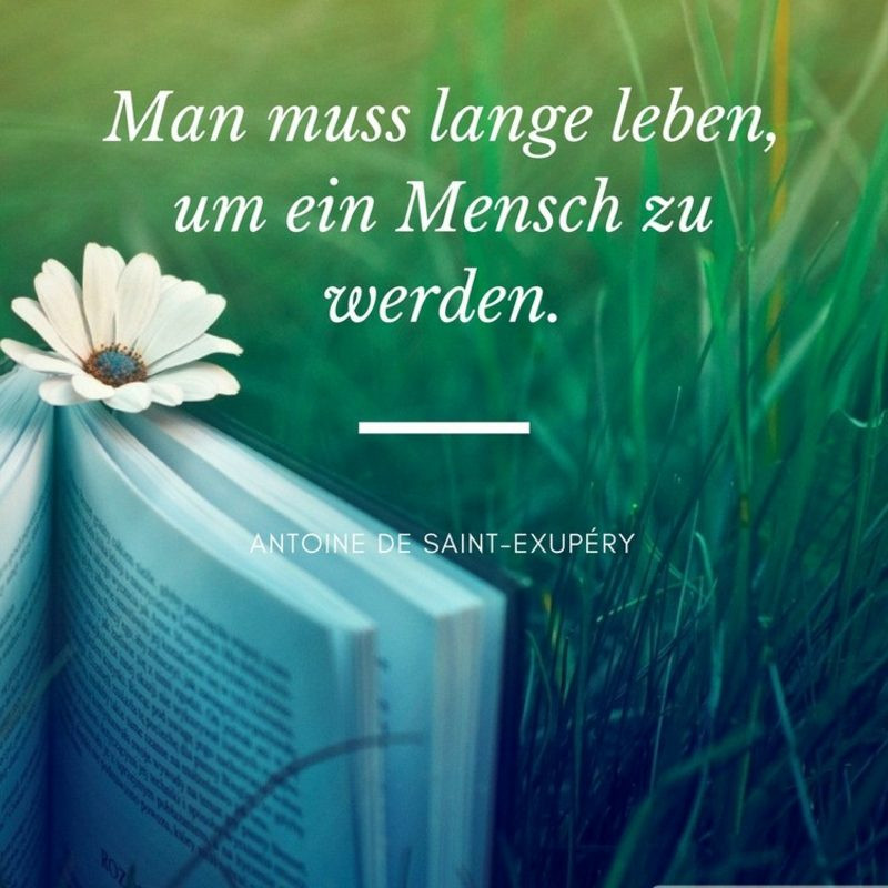 Zitate Zum 50. Geburtstag
 Den besten Spruch zum Geburtstag finden – 50 herrliche Ideen