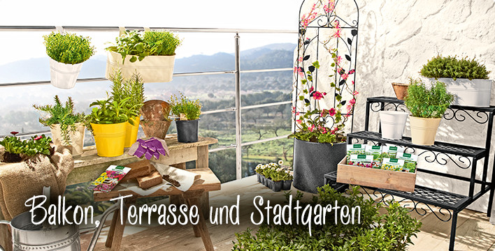 Aldi Süd Garten
 ALDI SÜD Balkon Terrasse und Stadtgarten