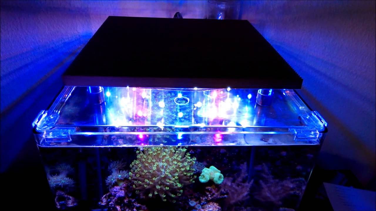 Aquarium Beleuchtung Led
 LED Aquarium Beleuchtung Bausatz von Fischfutter 24