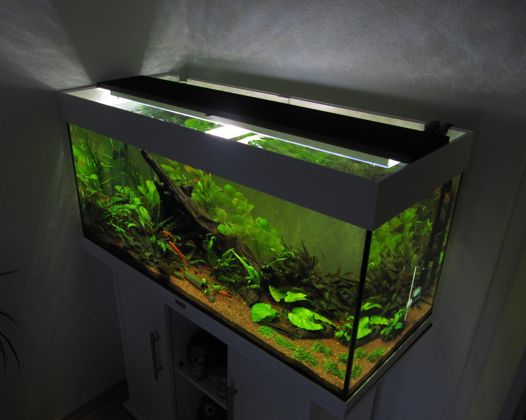 Aquarium Beleuchtung Led
 Aquarium LED Beleuchtung selber bauen Schullebernd s