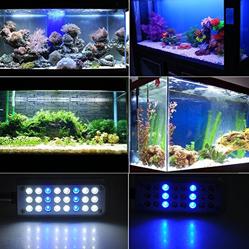 Aquarium Beleuchtung Led
 LED Aquarium Beleuchtung Aquarien Fische Tank Beleuchtung