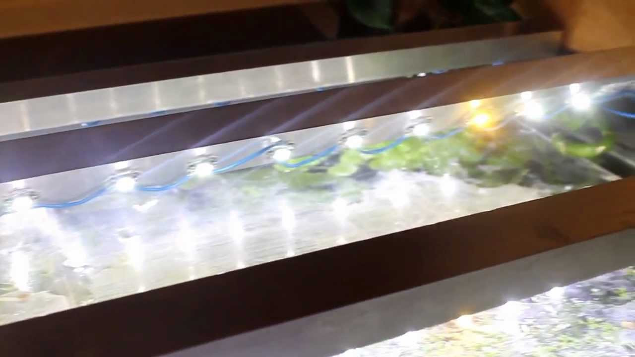 Aquarium Beleuchtung Led
 LED Beleuchtung über größeren Aquarium