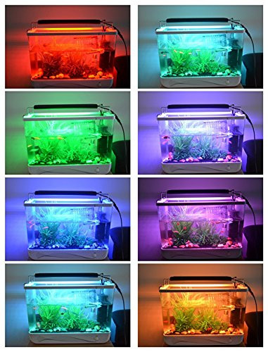 Aquarium Beleuchtung Led
 Tierbedarf von RunQiao online kaufen bei futter und