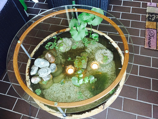 Auf Dem Tisch Ficken
 Moinsen Unser Miniteich Tisch ist fertig Aber schaut