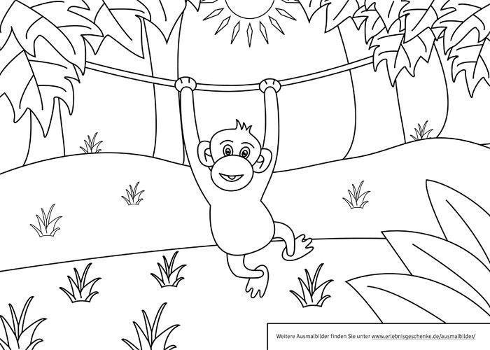 Ausmalbilder Affe
 Ausmalbilder Affe Ausmalbilder Coloring Pages