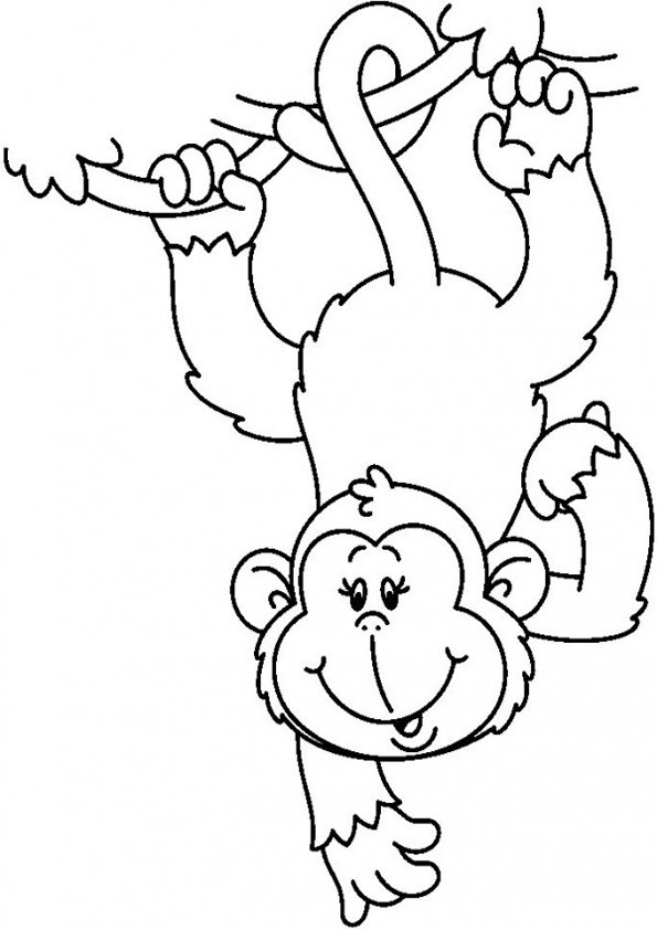 Ausmalbilder Affe
 Ausmalbilder Affe Ausmalbilder Coloring Pages