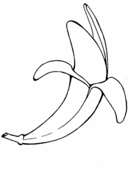 Ausmalbilder Banane
 Malvorlagen Zum Ausdrucken Ausmalbilder Banane Kostenlos