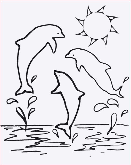 Ausmalbilder Delphin
 Ausmalbilder Zum Ausdrucken Delfin