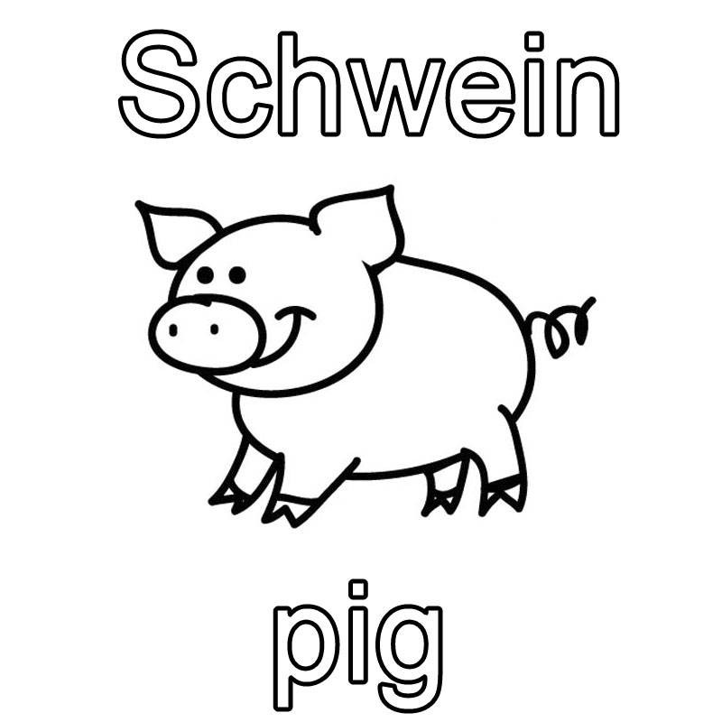Ausmalbilder Englisch
 Kostenlose Malvorlage Englisch lernen Schwein pig zum