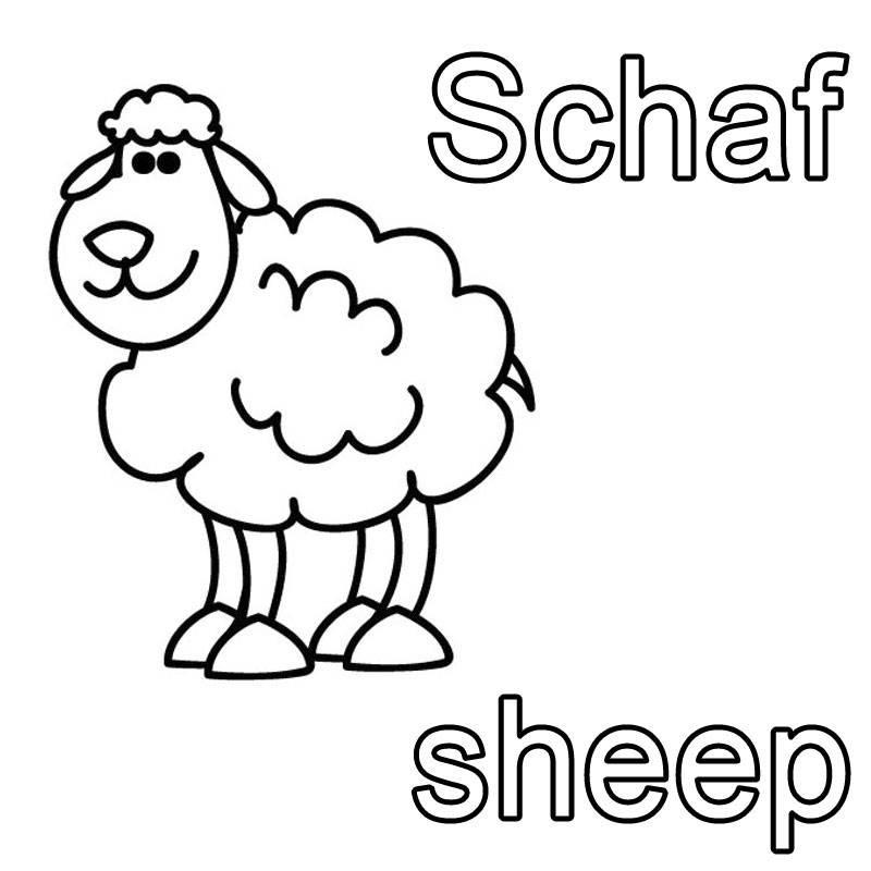 Sheep ESL.