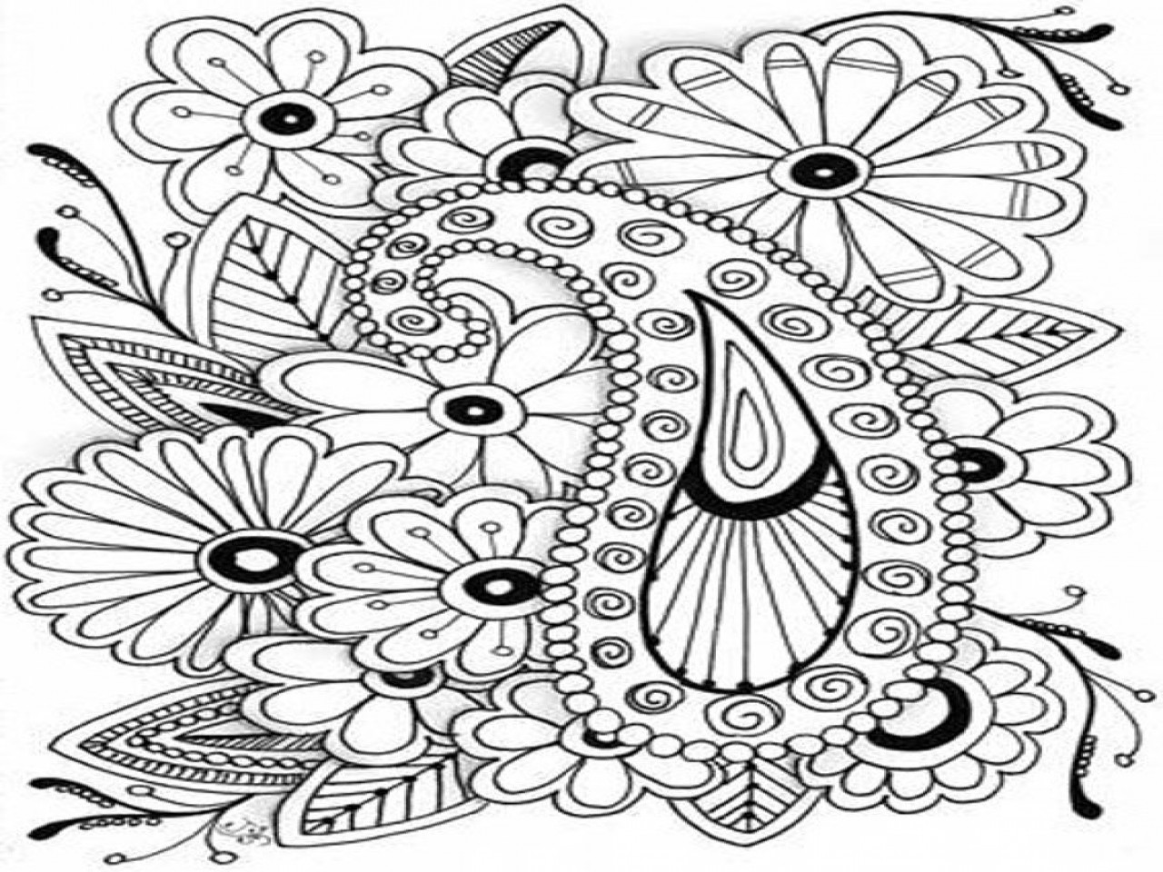 Ausmalbilder Erwachsene Eule
 Coolest Coloring Pages Ausmalbilder Erwachsene Eulen