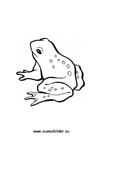 Ausmalbilder Frosch
 Ausmalbilder für Kinder Malvorlagen und malbuch