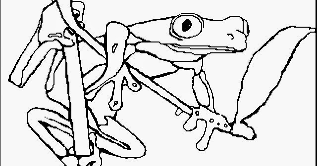 Ausmalbilder Frosch
 Ausmalbilder Frosch Kostenlos