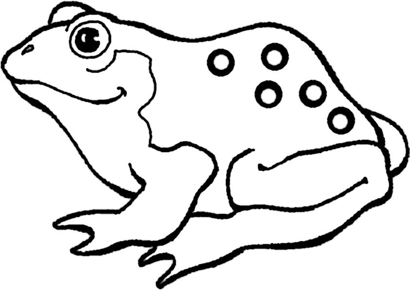 Ausmalbilder Frosch
 8 Beste Ausmalbilder Frosch Vorlage Kostenlos Drucken