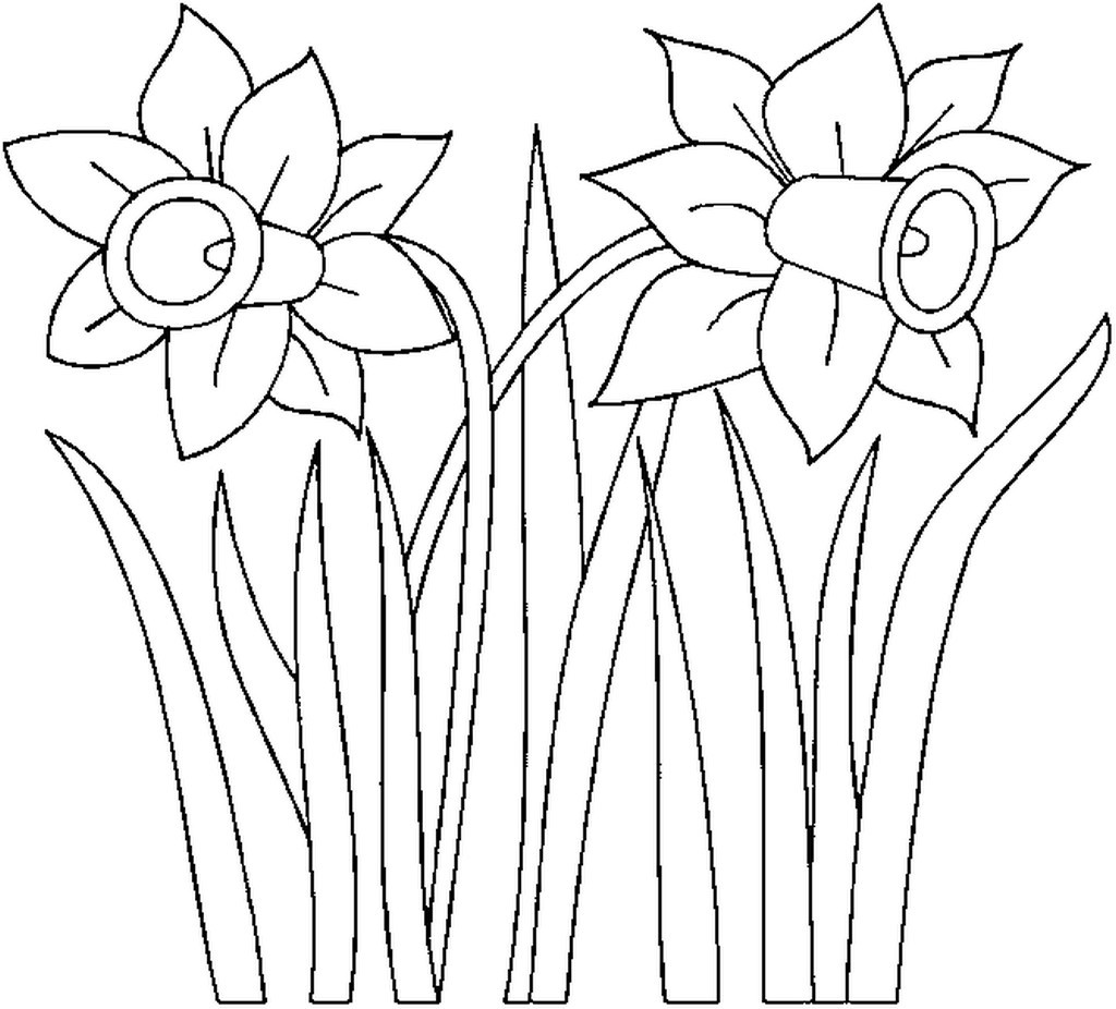 Ausmalbilder Frühlingsblumen
 Ausmalbilder Frühlingsblumen Kostenlos Malvorlagen Zum