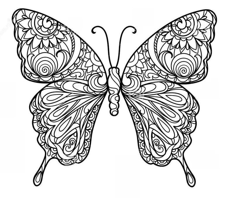 Ausmalbilder Für Erwachsene Schmetterling
 Schmetterlinge Ausmalbilder für Erwachsene kostenlos zum