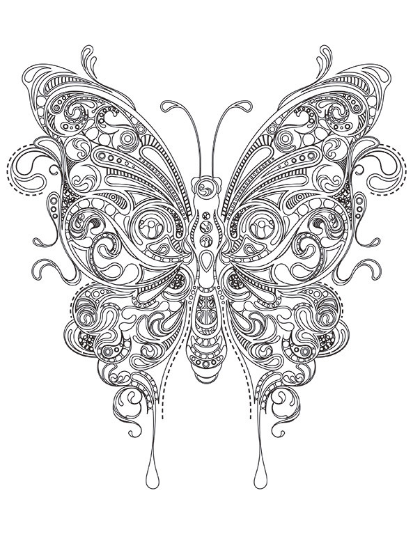 Ausmalbilder Für Erwachsene Schmetterling
 Schmetterling 1