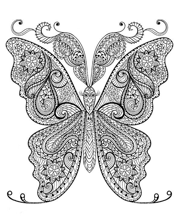 Ausmalbilder Für Erwachsene Schmetterling
 Schmetterling 2