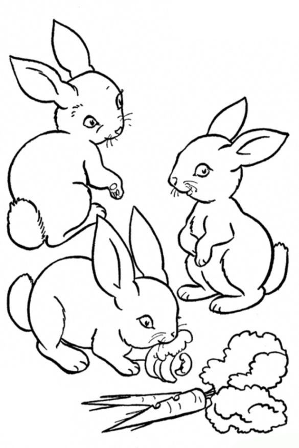 Ausmalbilder Hasen
 ausmalbilder kaninchen …