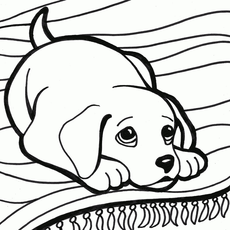 Ausmalbilder Hunde Kostenlos
 hunde ausmalbilder Zeichenvorlagen