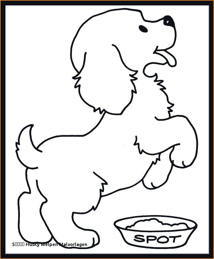 Ausmalbilder Husky
 Husky Malvorlagen Husky Dog Coloring Pages Husky