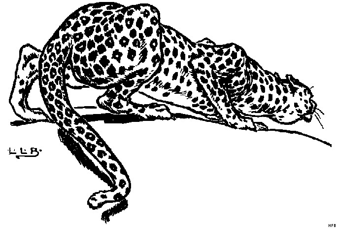 Ausmalbilder Leopard
 Leopard Von Hinten Ausmalbild & Malvorlage Tiere