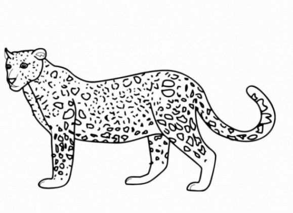 20 ideen für ausmalbilder leopard  beste wohnkultur