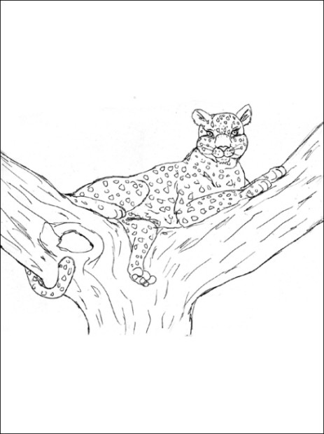 Ausmalbilder Leopard
 Vorlagen zum Ausmalen Malvorlagen Leopard Ausmalbilder 1