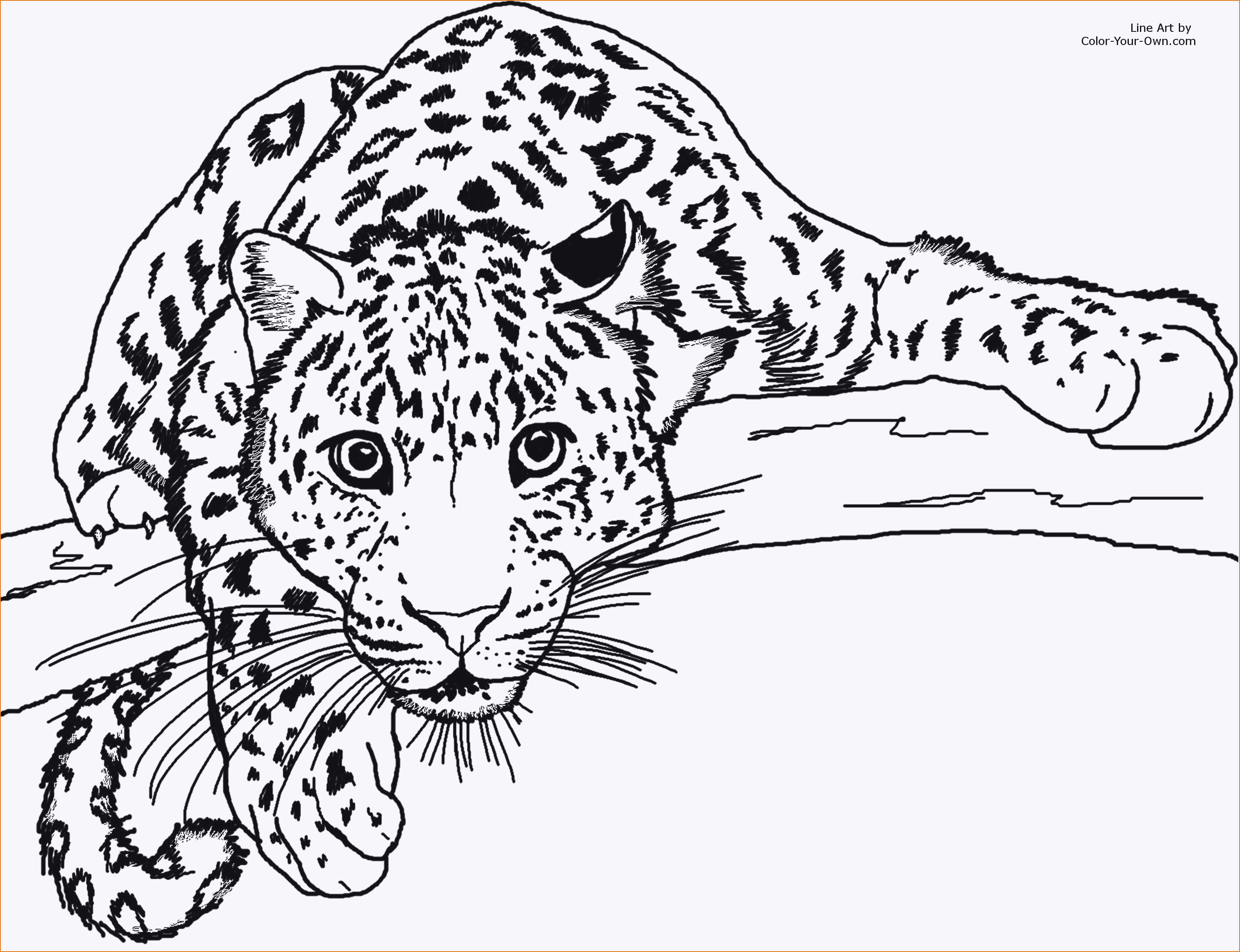 Ausmalbilder Leopard
 Leopard Coloring Pages Inspirational 44 Ausmalbilder Tiere