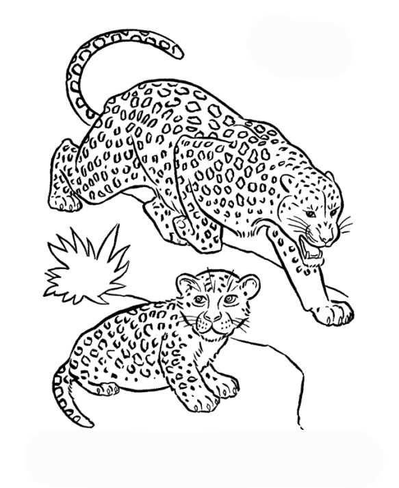 Ausmalbilder Leopard
 Ausmalbilder für Kinder Leopard 3