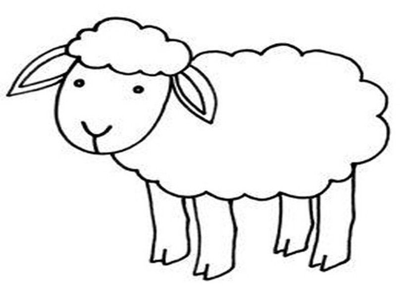 Ausmalbilder Schafe
 Schaf Ausmalbilder tiere 27