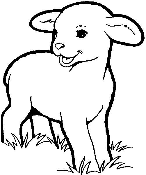 Ausmalbilder Schafe
 Schaf