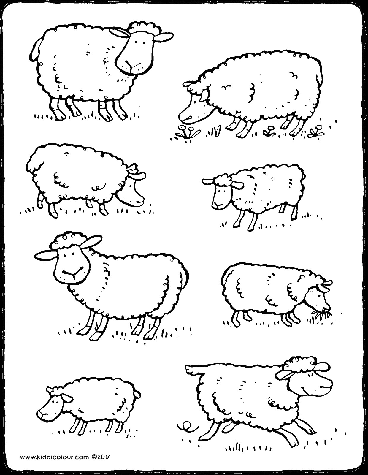 Ausmalbilder Schafe
 Schafe kiddimalseite