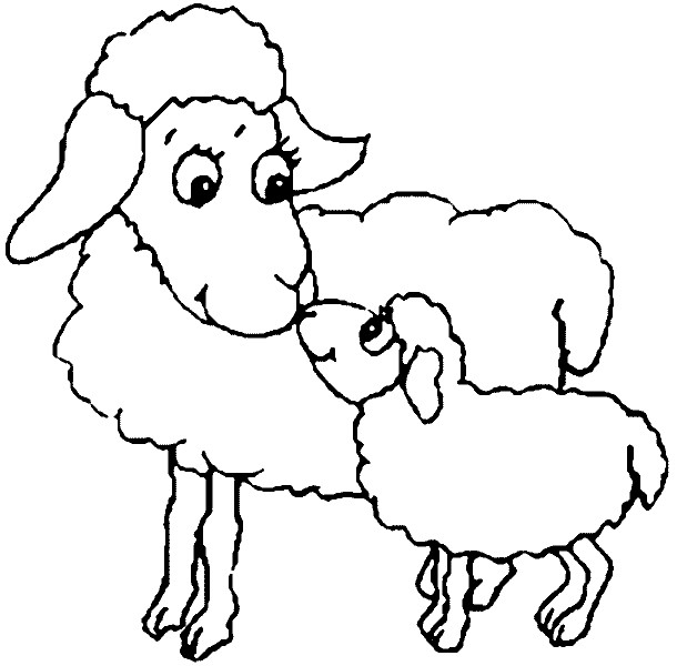 Ausmalbilder Schafe
 Schaf