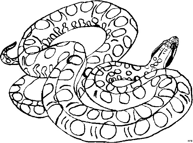 Ausmalbilder Schlangen
 Schlange Gefleckt Ausmalbild & Malvorlage Tiere