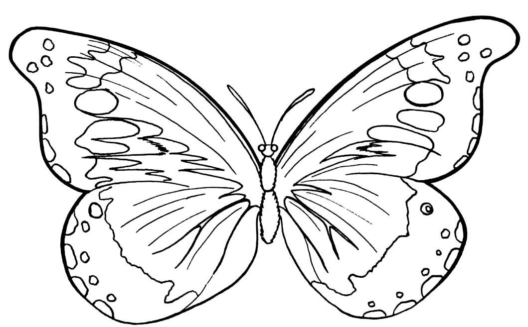 Ausmalbilder Schmetterling
 ausmalbilder schmetterling ausdrucken – funnycoloringpage