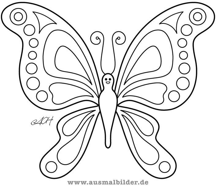 Ausmalbilder Schmetterling
 Die 25 besten Ideen zu Ausmalbilder schmetterling auf