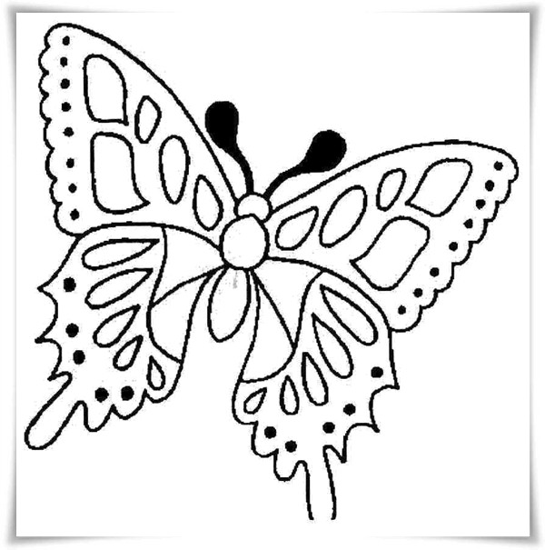 Ausmalbilder Schmetterling
 Ausmalbilder zum Ausdrucken Ausmalbilder Schmetterling