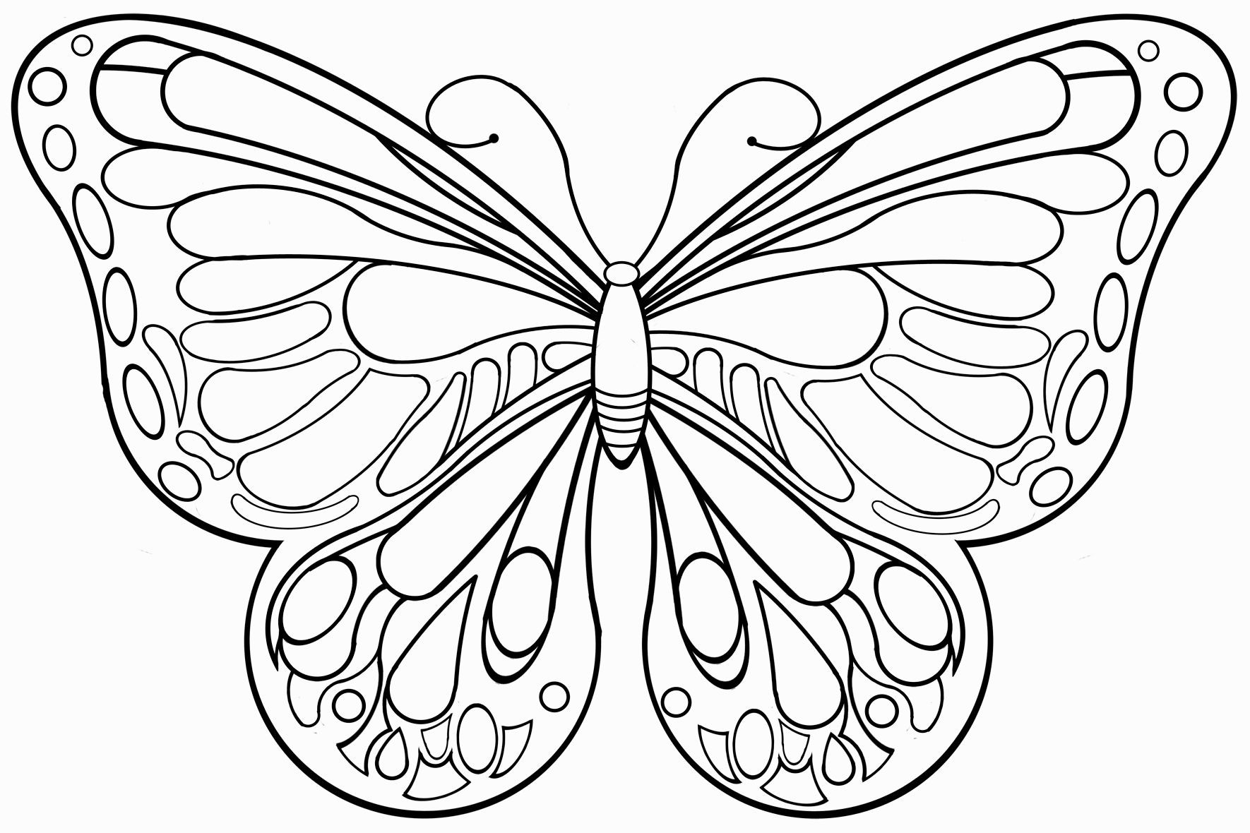 Ausmalbilder Schmetterling
 schmetterlinge zum ausdrucken Malvorlagentv