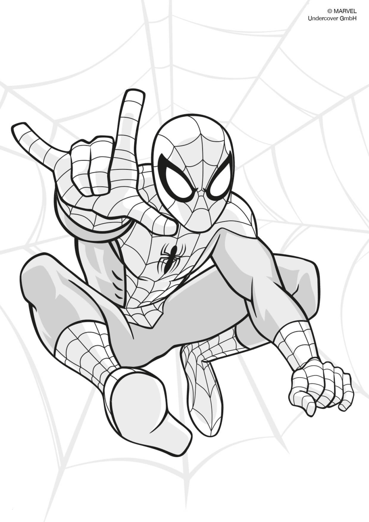 Ausmalbilder Spiderman
 Ausmalbilder Von Spiderman Neu Detail Uploadertalk