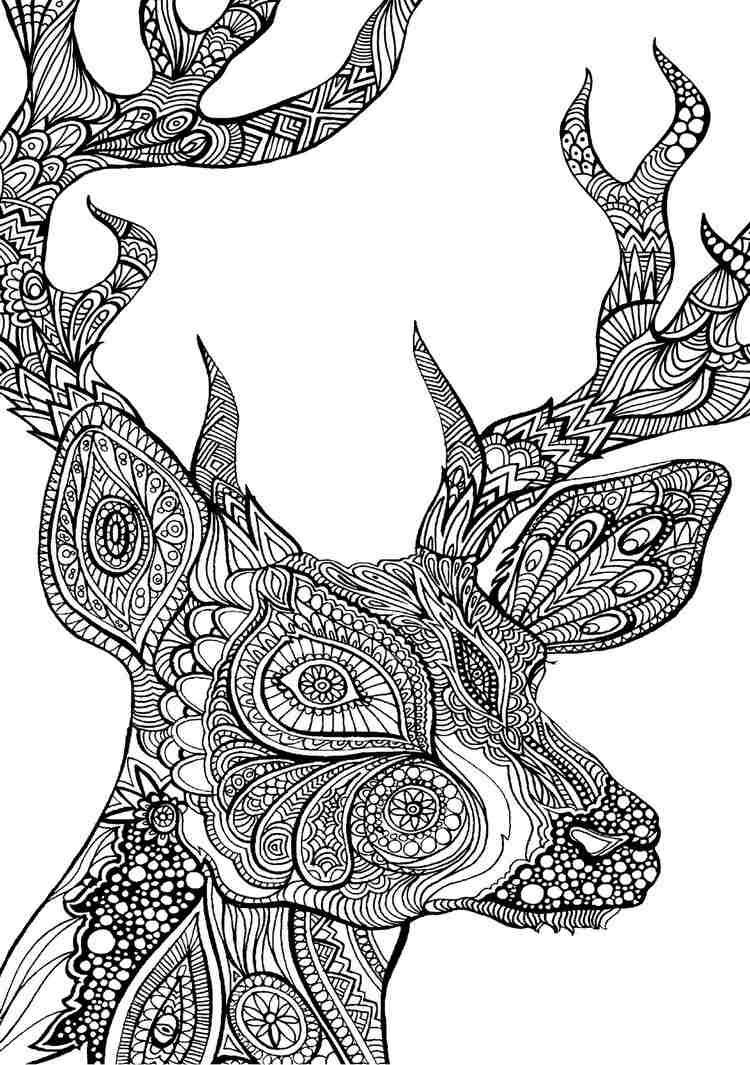 Ausmalbilder Tiere Mandala
 Hirsch Vorlage mit interessanten Mustern