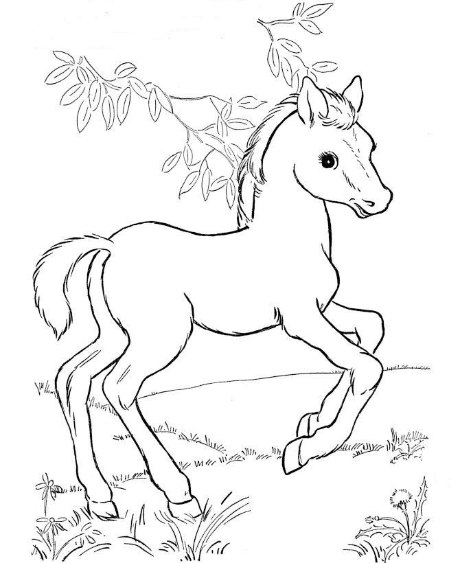 Ausmalbilder Tiere Pferde
 Ausmalbild Pferde Kids n Fun coloring 2