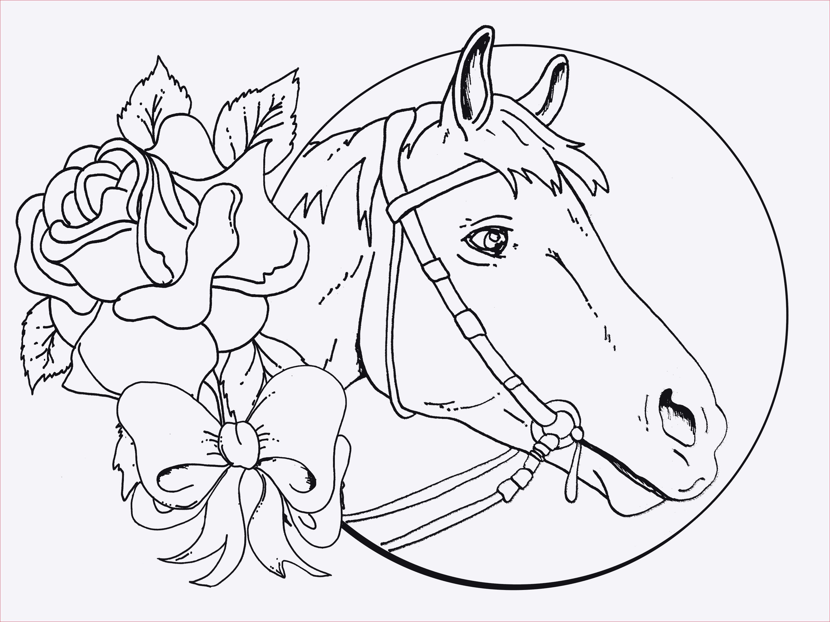 Ausmalbilder Von Tieren
 Ausmalbilder Pferde Mit Reiter Zum Ausdrucken