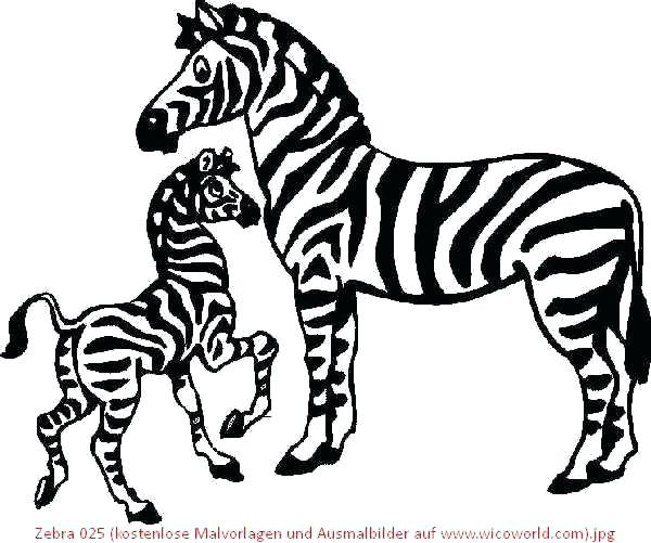 Ausmalbilder Zebra
 Zebra Malvorlagen 1 4 Zebra Fa 1 4 R Kinder Malvorlagen