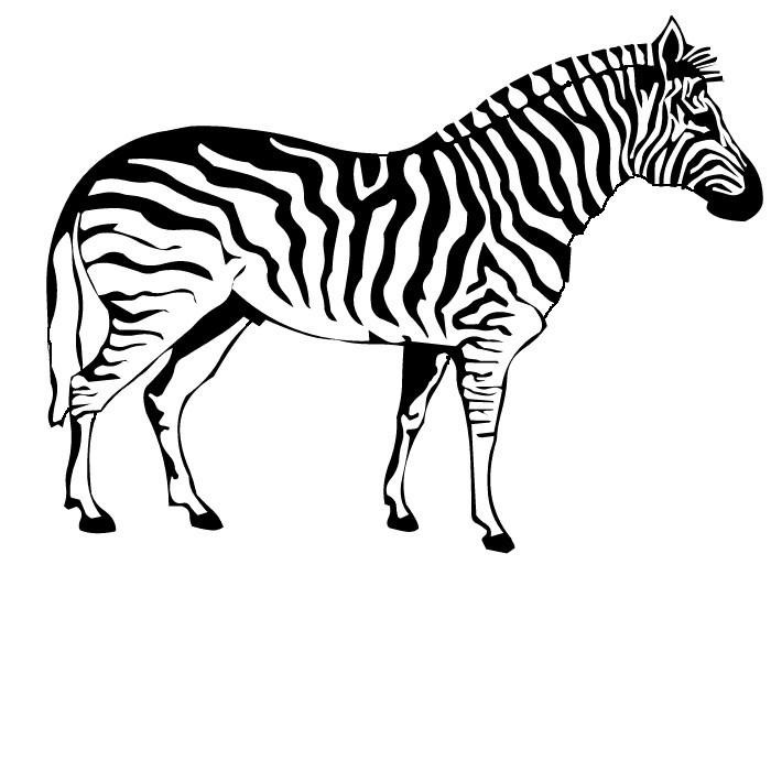 Ausmalbilder Zebra
 Grosse 45 21 KB
