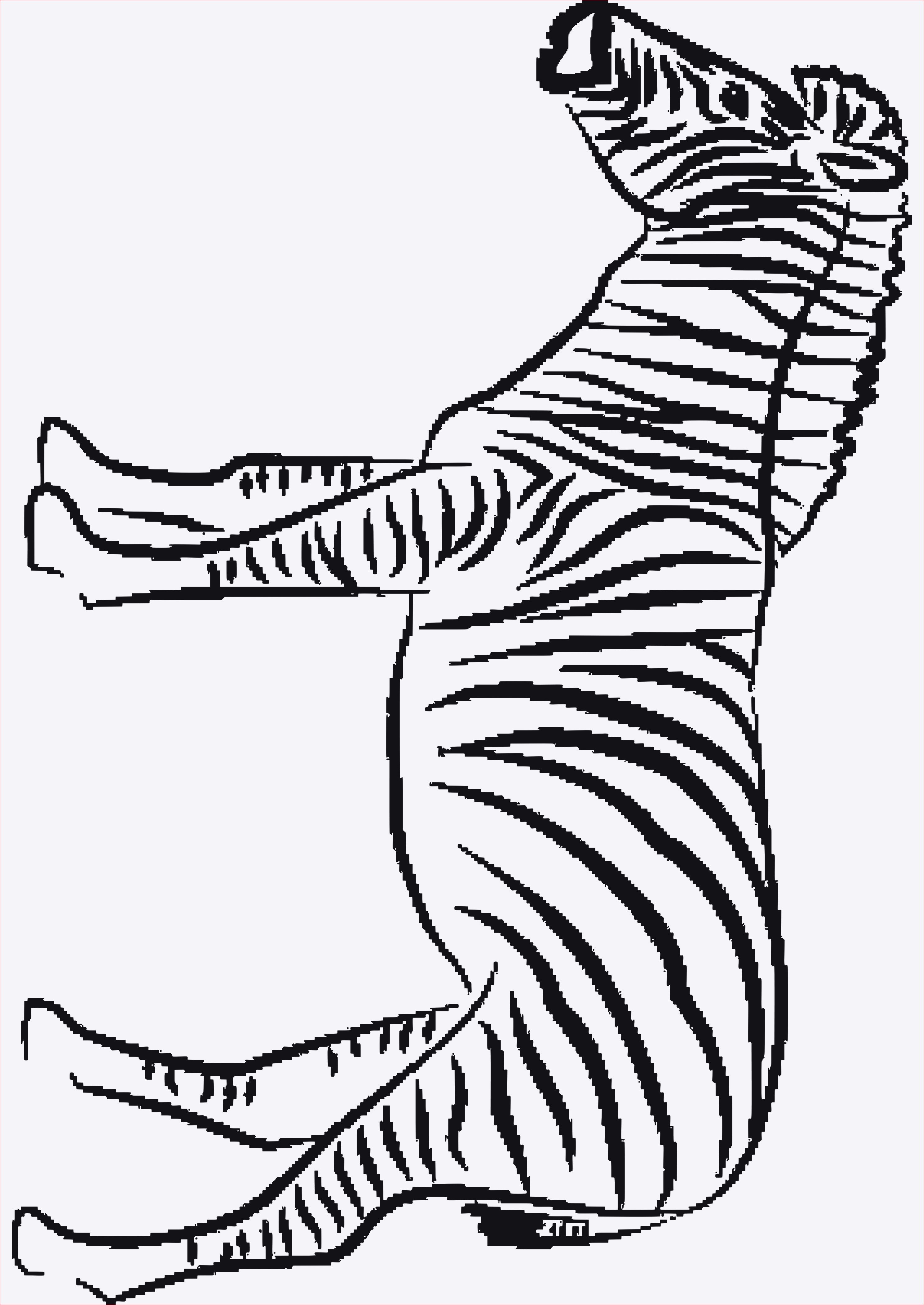 Ausmalbilder Zebra
 Ausmalbilder Zum Ausdrucken Zebra