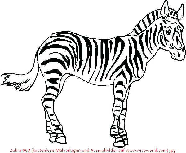 Ausmalbilder Zebra
 Zebra Malvorlagen Updated Malvorlagen Zebra Kostenlos