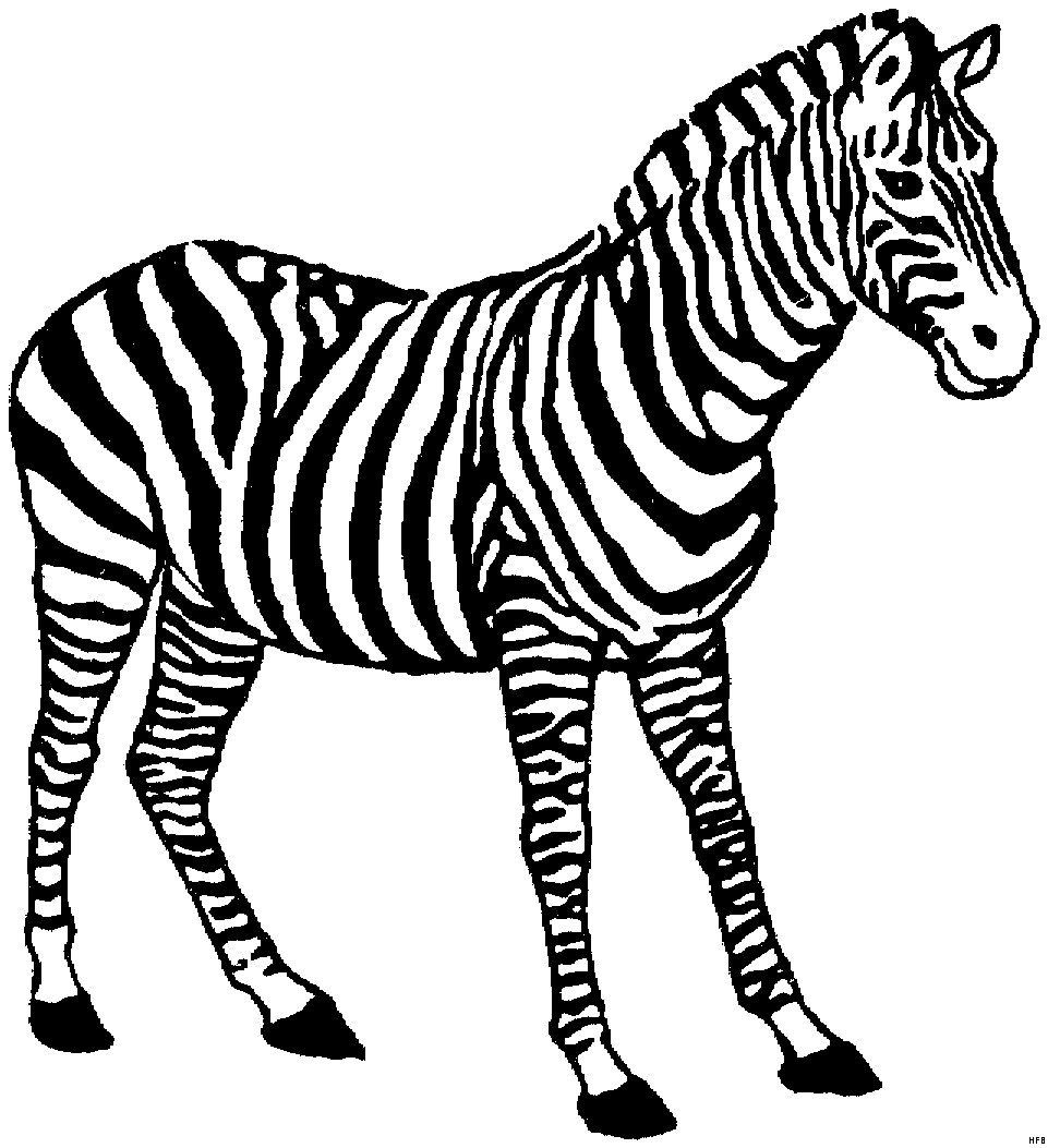Ausmalbilder Zebra
 Zebra Gross Ausmalbild & Malvorlage Tiere